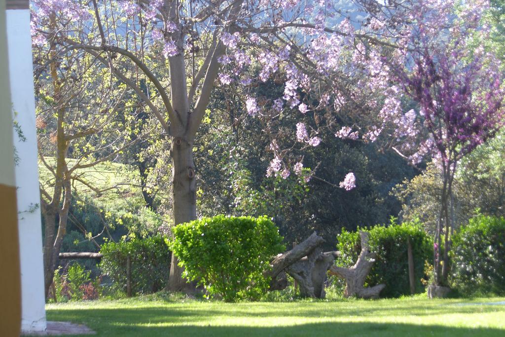 Batan De Las Monjas San Nicolás del Puerto Exteriör bild